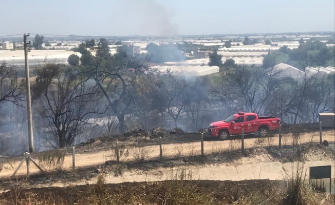 Kırsal alanda yangın paniği