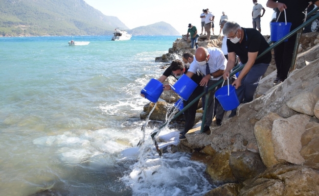 Kumluca’da 5 bin levrek yavrusu denizle buluştu