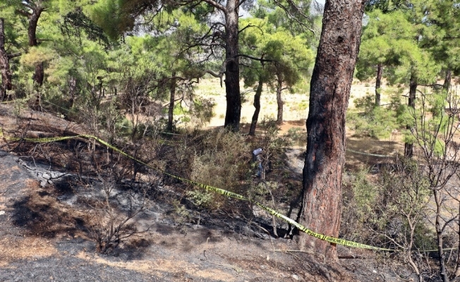 Ormanda yanmış halde cesedi bulunan eski CHP ilçe başkanının katil zanlısı yakalandı