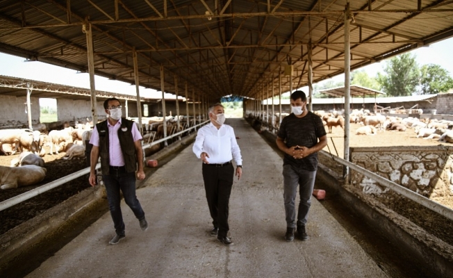 Şahin’den besi çiftliklerine ziyaret