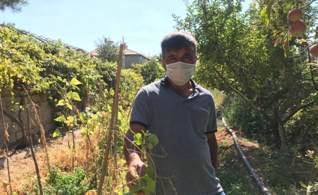 Sarımsaklı’da sular kesildi, tarladaki mahsuller kurudu