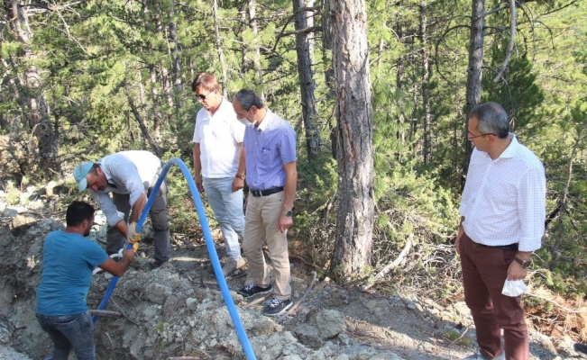Tosya Kaymakamı çalışmaları denetledi