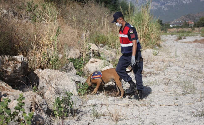 633 gündür kayıp olan Buse için köpekli arama