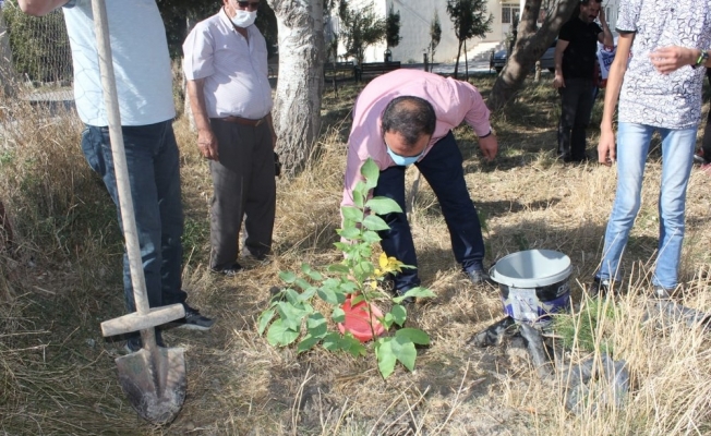Adilcevaz TÜRŞAD voleybol takımından Hatay’a destek