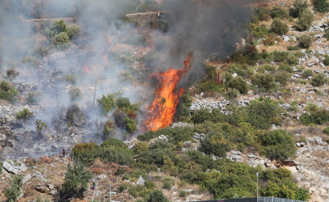 Alanya'da çalı yangını ormana sıçramadan söndürüldü 