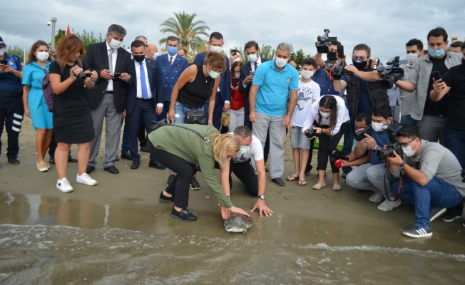 Alanya'da tedavisi tamamlanan yeşil deniz kaplumbağası denize bırakıldı