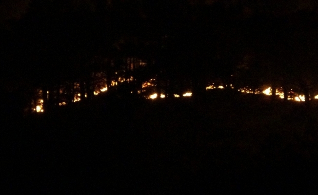 Anamur’da orman yangını devam ediyor