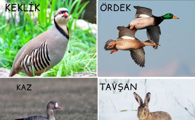 Avcılar yarın için sabırsızlanıyor