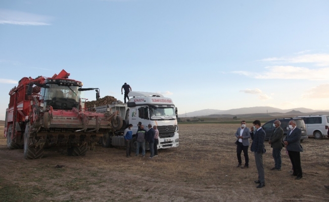 Bitlis’te 160 bin ton şeker pancarı hasadı bekleniyor