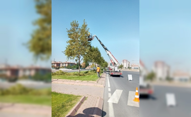 Büyükşehir’den hummalı sonbahar çalışması