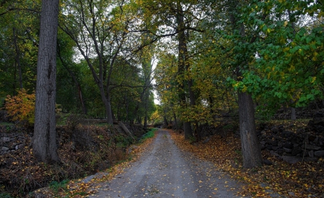 ÇEKÜL Vakfı’ndan Başkan Büyükkılıç’a Koramaz övgüsü