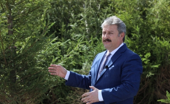 Daha yeşil bir Melikgazi için ağaçlar yolda