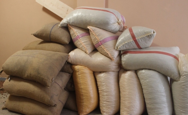 Giresun’dan Eylül ayı içerisinde 33 bin 471 ton fındık ihraç edildi