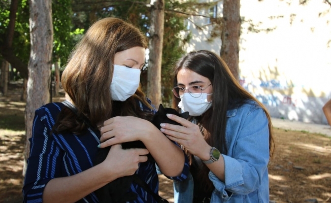 Hayvanları Koruma Günü’nde ‘Patili’ dostlar için yem bırakıldı