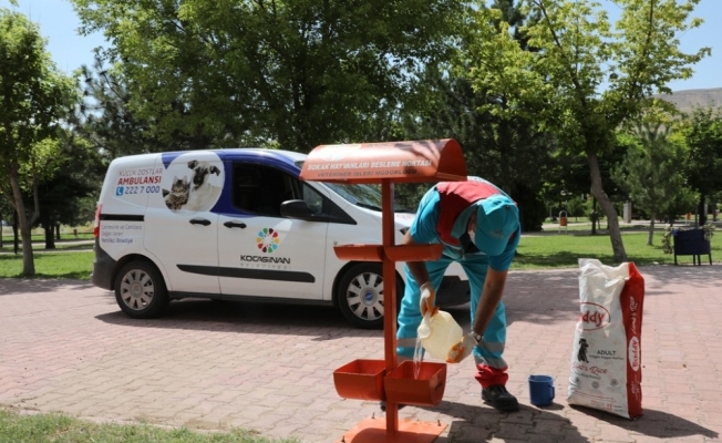 ’Küçük dostlar’ Kocasinan’da her zaman değerli