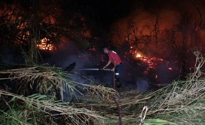 Mersin’de araştırma enstitüsü bahçesinde 3 ayrı noktada yangın çıktı
