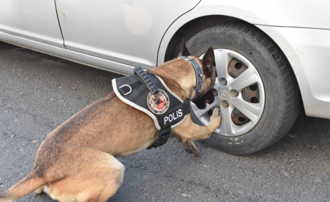 Nevşehir’de uyuşturucu taciri 1 kişi tutuklandı