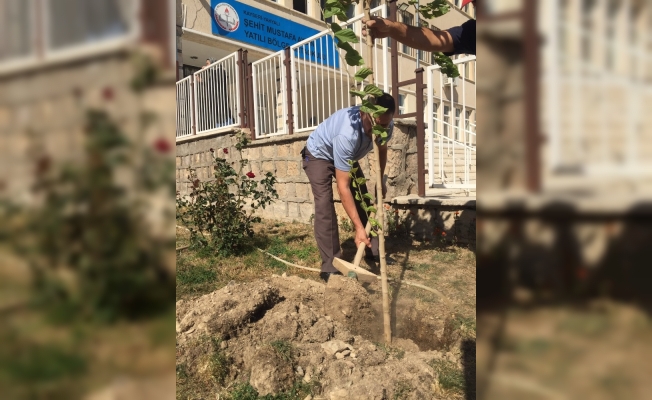Okul müdürü geleceğe nefes olmak için fidan dikti, can suyu verdi