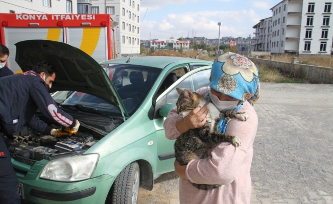 Otomobilden kedi kurtarma operasyonu
