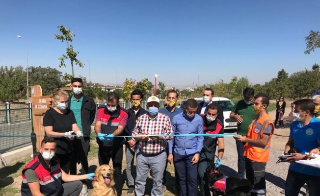 Patiköylü belediyeden hayvanlar için ‘Patiyol’