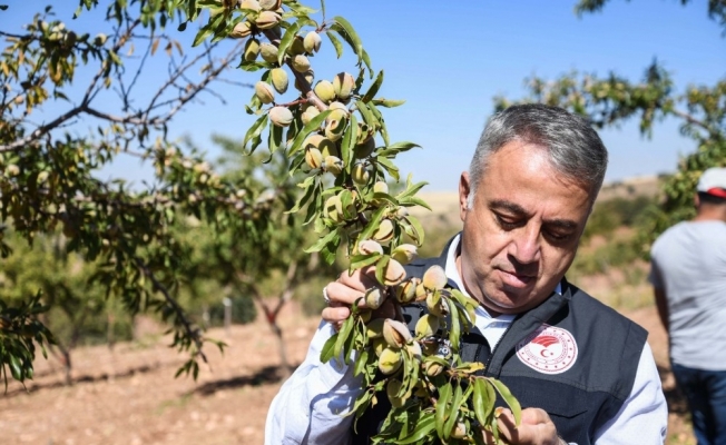 Şahin, "Amacımız teknik tarım ile katma değeri yüksek ürünler üretmek"