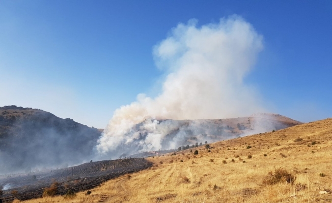 Sarız’da ormanlık alanda yangın çıktı