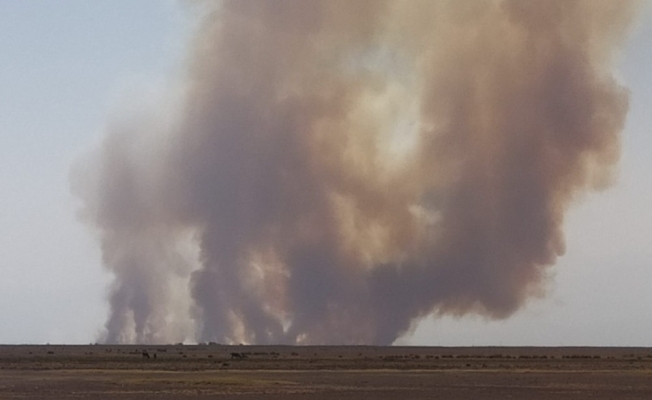 Sultan Sazlığı Kuş Cenneti’nde yangın