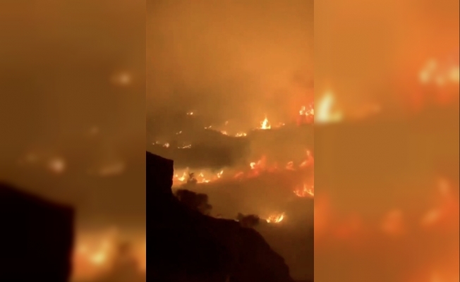 Suudi Arabistan’da dağlık alanda büyük orman yangını