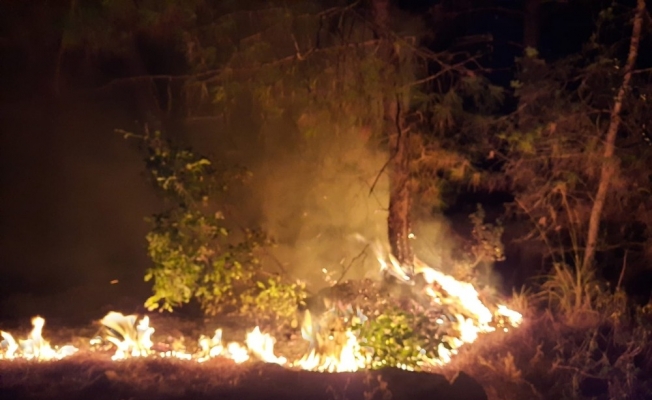 Yangın 500 metrekarelik ormanlık alana zarar verdi