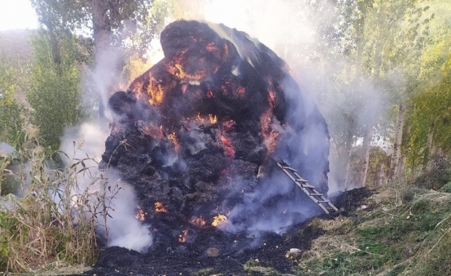 Yüksekova’da 6 bin 500 bağ ot yandı