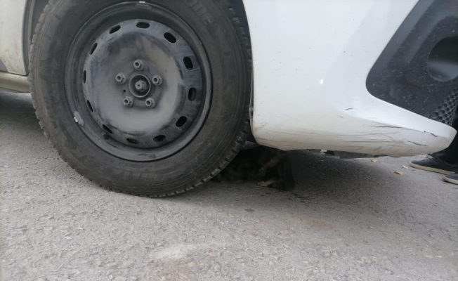 Ayağı araç motoruna sıkışan kedi kurtarıldı