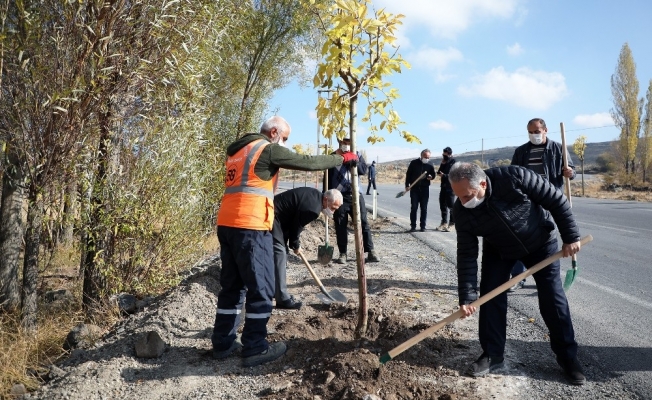 Başkan Yalçın: “Bugüne kadar 70 bin ağaç diktik”