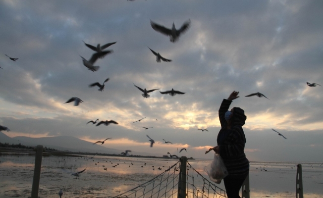 Beyşehir Gölü kuş cennetine döndü