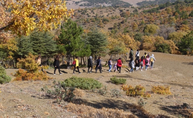 Beyşehir Gölü Milli Parkı sonbaharda doğa tutkunlarını hayran bırakıyor
