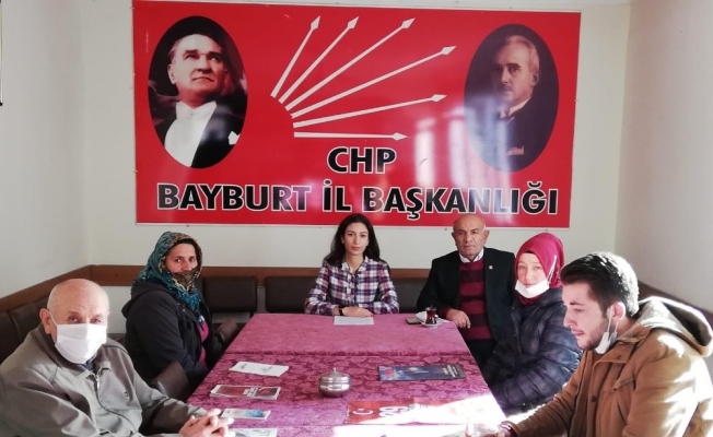 CHP Bayburt Kadın Kolları’ndan Kadına Yönelik Şiddete Karşı Uluslararası Mücadele ve Dayanışma Günü açıklaması