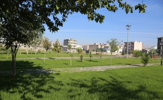 Cizre’de park yapım çalışmaları