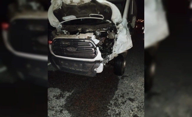 Kamyonetin çarptığı 2 büyükbaş hayvan telef oldu