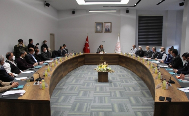 Kapadokya Alan Başkanlığı 33 toplantıda 862 dosyayı görüştü