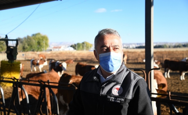 Kayseri Hayvancılığında Bir İlk “Gebe Düve İhracatı” Yapıldı