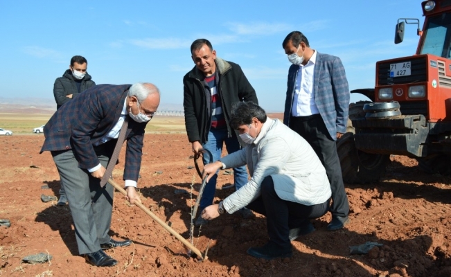 Kırıkkale’de ’KOP ile Sürdürülebilir Küçükbaş Hayvancılık’ projesi