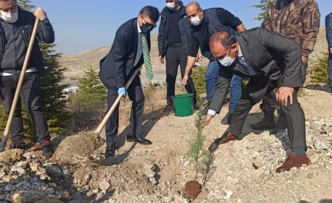 Malatya polisinden bin fidan
