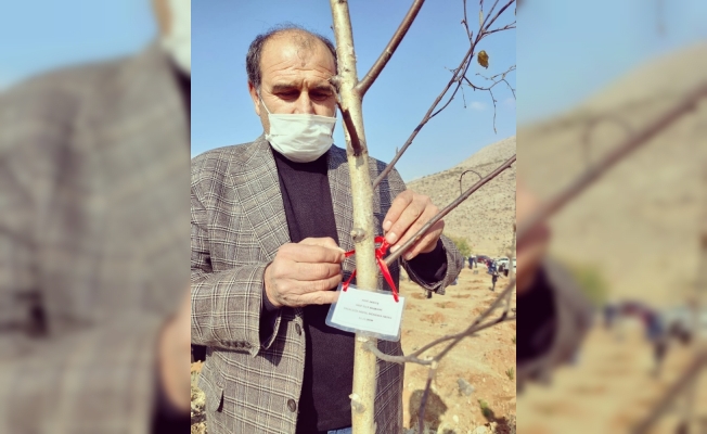 MHP Yahyalı ilçe teşkilatından ağaçlandırmaya destek