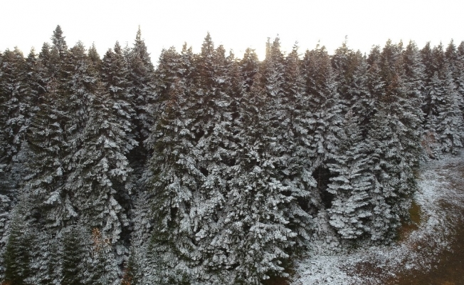 Sinop’a yılın ilk karı düştü, kartpostallık görüntüler ortaya çıktı