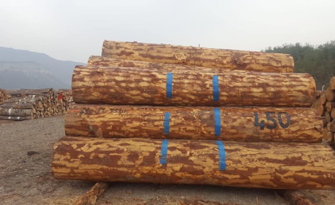 7 bin 213 metreküp orman emvali 3 milyon 341 bin 462 TL’ye satıldı