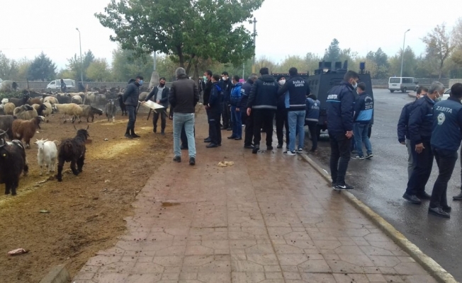 Bağlar’da yeni tedbirler ışığında denetim seferberliği