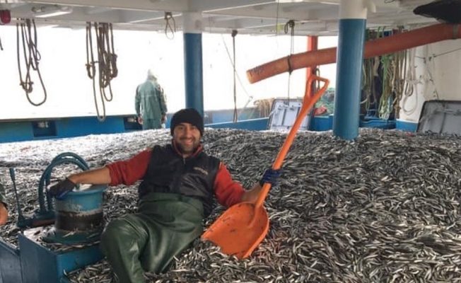 Hamsi bereketi balıkçının yüzünü güldürdü