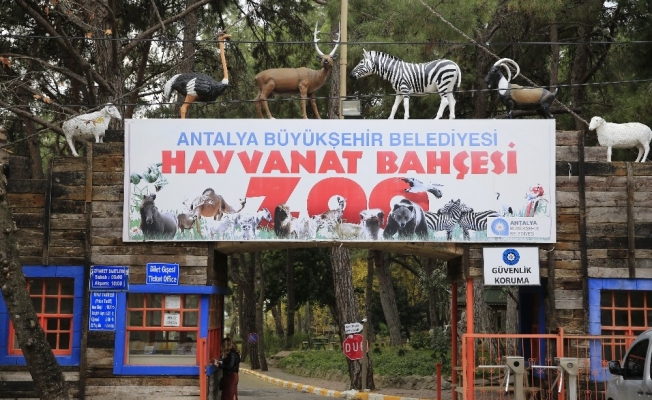 Hayvanat Bahçesi ziyarete kapatıldı, sosyal tesisler faaliyetlerine ara verdi