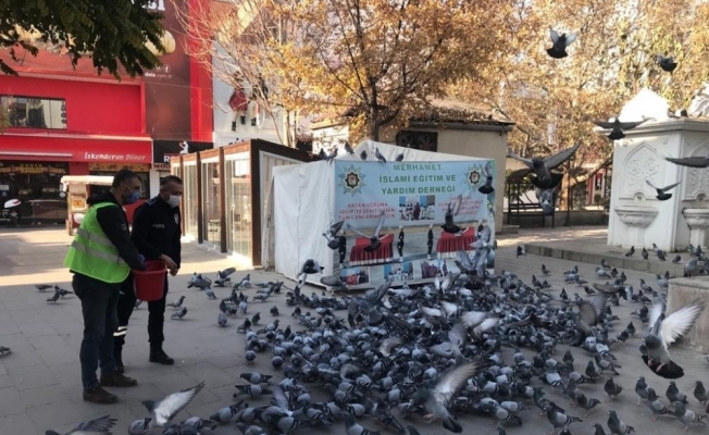 Kırıkkale’de sokak hayvanlarına şefkat eli