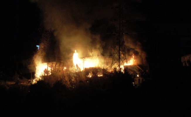 Pelet fabrikası alev alev yandı