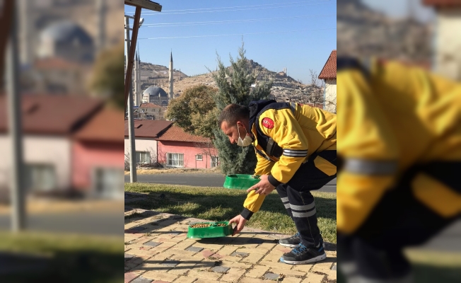 Sokağa çıkma yasağında sokak hayvanları unutulmadı